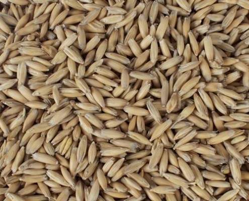 CHATEAU OAT MALT