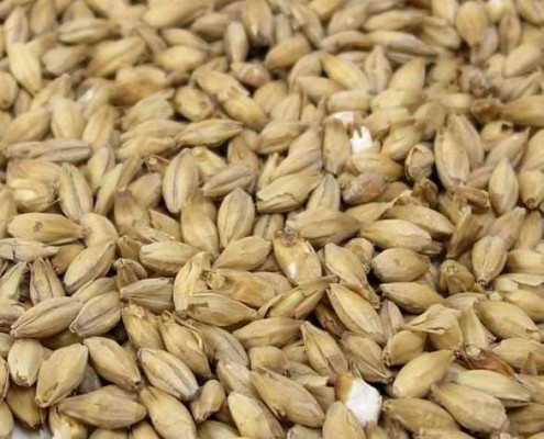 CHATEAU PEATED MALT