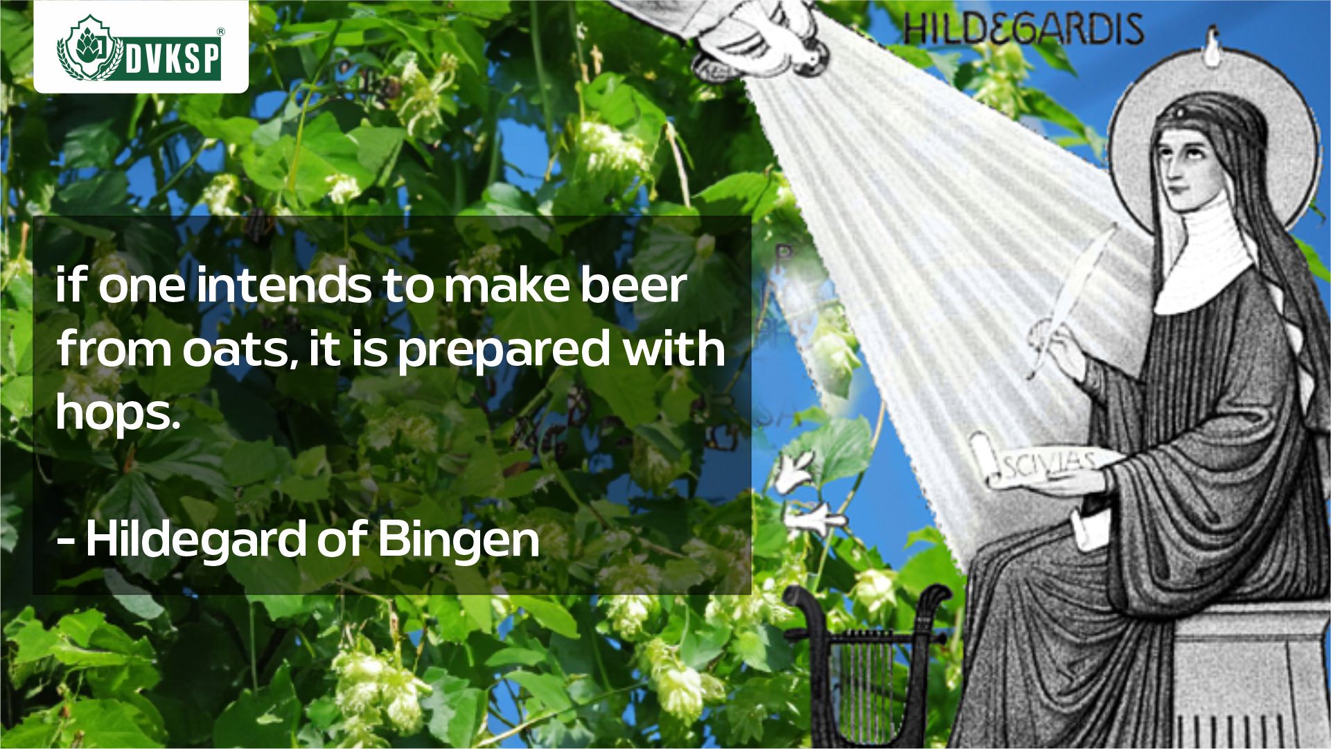 Why are hops used in brewing beer? When was the first time when hops were used in brewing beer? And so on. Historically, hops were first documented in beer in the 9th century, though Hildegard of Bingen, 300 years later, is often credited with their early use.