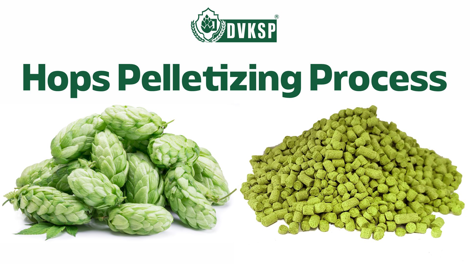 Pelletizing also helps to preserve the hop's volatile oils and extend their shelf life.