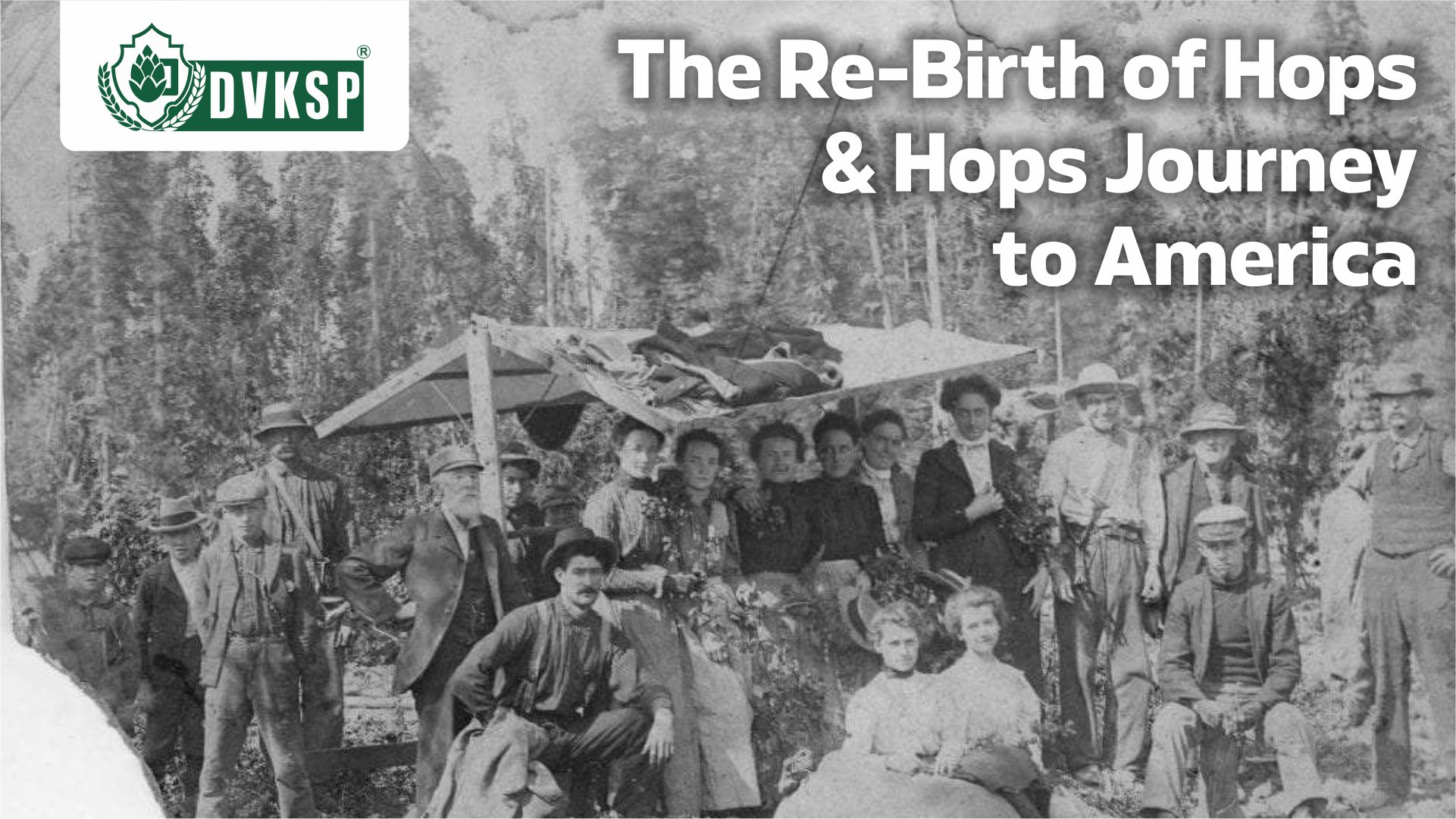 In the latter half of the 20th century, the craft beer revolution swept across America, igniting a new found appreciation for hops. Brewers began experimenting with hop varieties, pushing the boundaries of bitterness, aroma, and flavor. The birth of iconic styles like the West Coast IPA ushered in a new era of hop-forward beers, where the bright citrus, pine, and tropical notes of hops took center stage. 