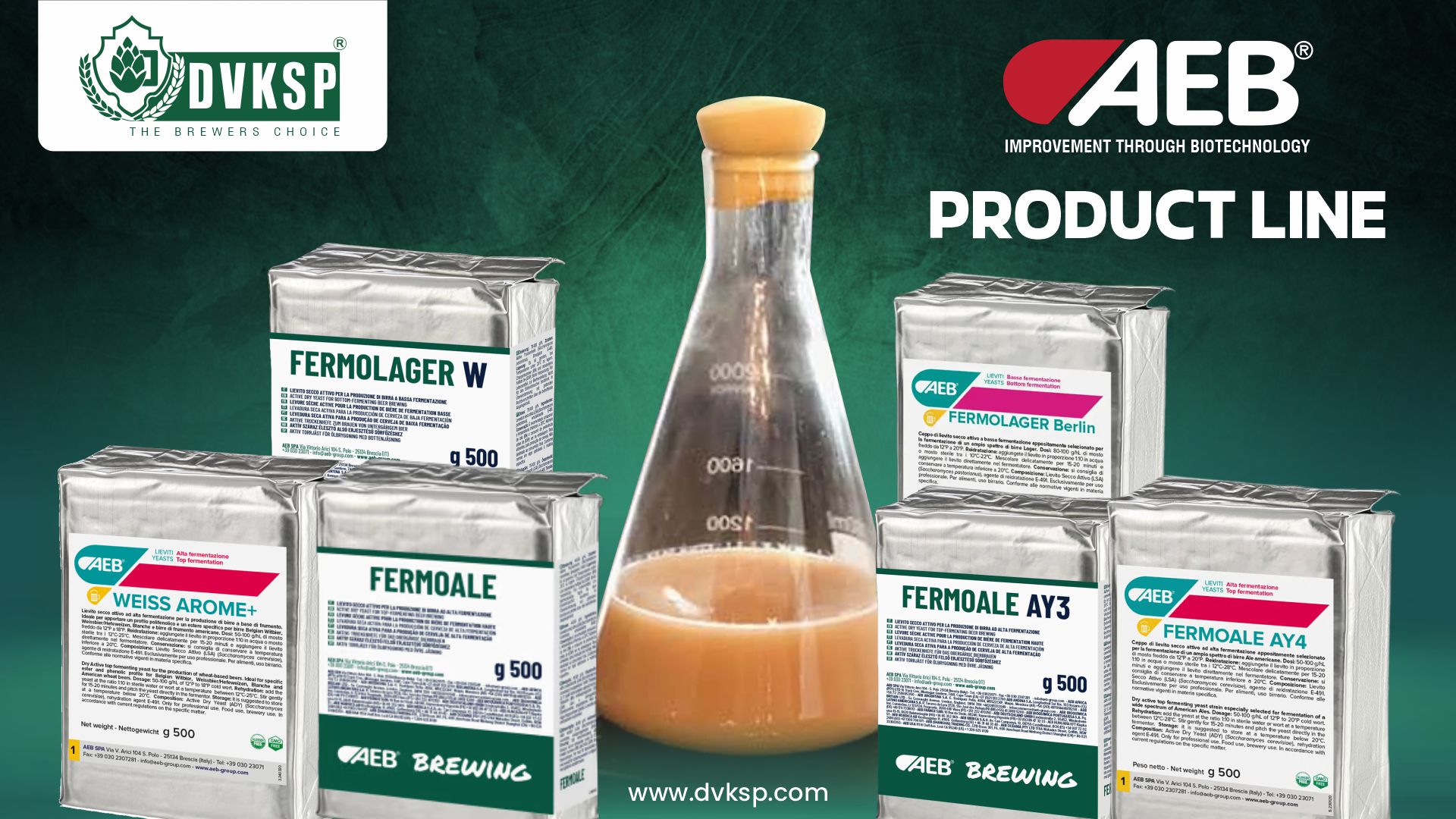 AEB’s product line:

 FERMOALE – DRY YEAST,
FERMOALE AY3 – DRY YEAST,
WEISS AROME+ – DRY YEAST,
FERMOALE AY4 – DRY YEAST,
FERMOLAGER BERLIN – DRY YEAST,  
FERMOLAGER W – DRY YEAST, 
Available through DVKSP, includes specialized yeast strains that highlight these fermentation behaviors.

These ale yeast strains exhibit vigorous top fermentation, while their lager yeast strains ensure thorough bottom fermentation, contributing to the distinctive characteristics of each beer type.