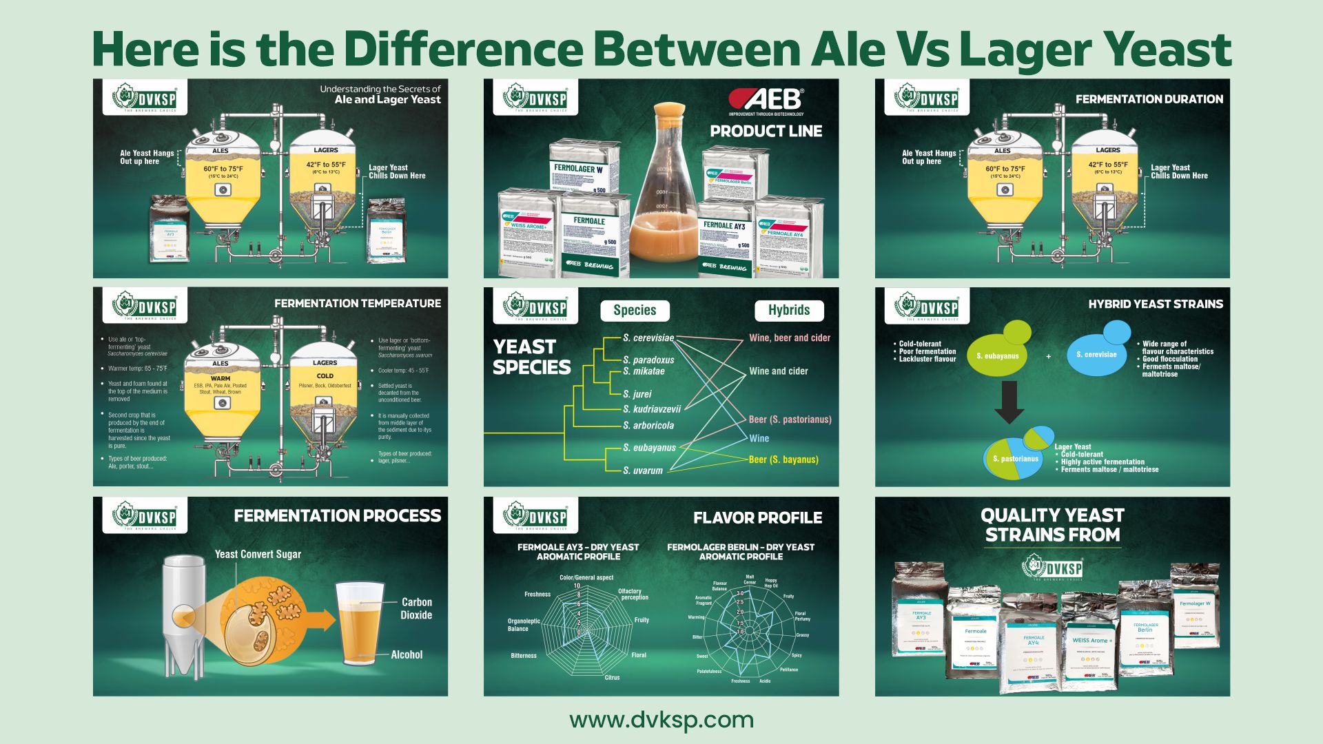 In conclusion, the differences between ale and lager yeast are significant and influence the final product in various ways.

The fermentation temperature, process, species, flavor profile, fermentation duration, and hybrid strains all contribute to the distinct characteristics of ales and lagers.

Ale yeast, with its warmer fermentation temperatures and vigorous activity, produces beers with complex, fruity, and spicy flavors in a relatively short time.

In contrast, lager yeast, which ferments at cooler temperatures and at a slower pace, yields beers that are clean, crisp, and refined, often requiring a longer maturation period.

Hybrid yeast strains further blur the lines between these two traditional categories, offering brewers new tools to create unique and innovative beer styles.