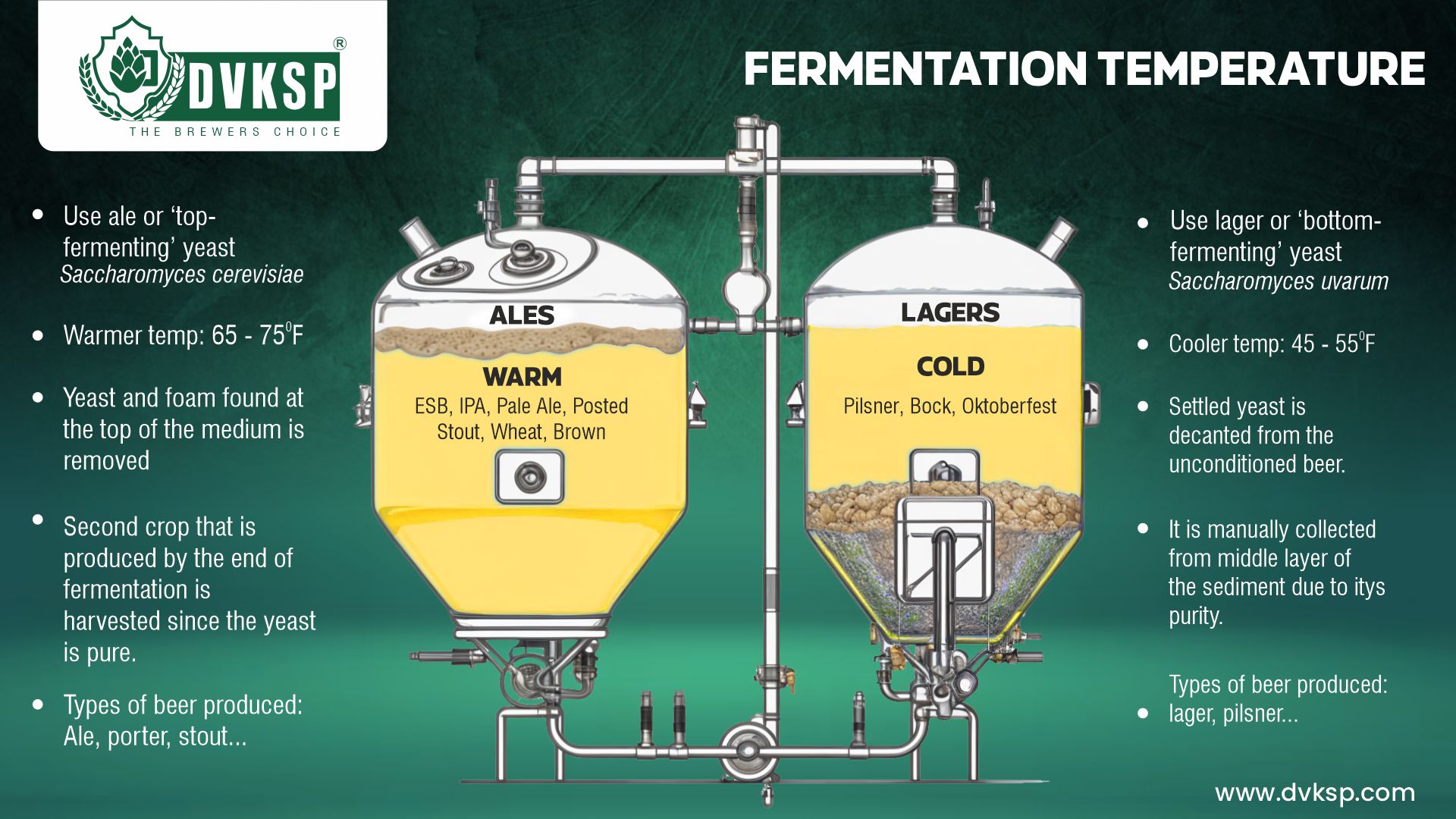 One of the primary differences between ale and lager yeast is the fermentation temperature. Ale yeast, such as AEB’s Fermoale AY3, typically ferments at warmer temperatures, between 60°F to 75°F (15°C to 24°C).

This temperature range encourages the development of more complex and robust flavors, often described as fruity and spicy.

The warmer fermentation environment also accelerates the metabolic activity of the yeast, increasing the rate of fermentation and the production of carbon dioxide.

This increased activity causes the ale yeast to rise to the top of the fermentation vessel, a behavior characteristic of top-fermenting yeasts.

On the other hand, lager yeast, like AEB’s Fermolage Berlin, ferments at significantly cooler temperatures, generally between 42°F to 55°F (6°C to 13°C).

These lower temperatures slow down the fermentation process, resulting in a cleaner and crisper taste with fewer byproducts.

The cooler environment inhibits the formation of esters and phenols, compounds that contribute to fruity and spicy flavors, thus leading to a more refined and neutral flavor profile in the finished beer.

DVKSP, a trusted supplier of premium Hops, Malts, Spices and Brewing Yeast ingredients, offers a wide range of yeast products that meet these fermentation needs.