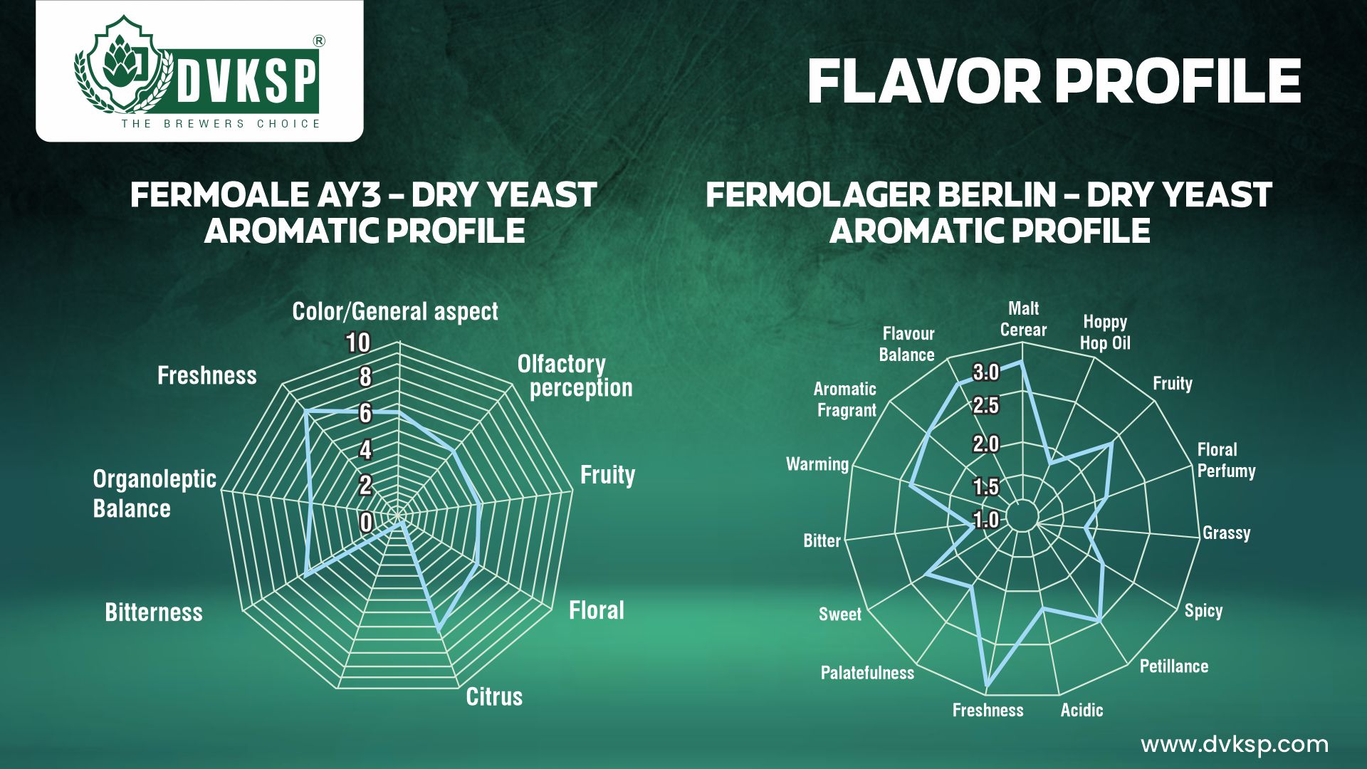 AEB’s FERMOALE AY3 – DRY YEAST ale yeasts are known for producing a wide range of esters and phenols, adding depth and complexity to the beer’s flavor profile.

Meanwhile, AEB’s FERMOLAGER BERLIN – DRY YEAST lager yeasts are engineered to minimize byproduct formation, resulting in clean and crisp beers that highlight the natural flavors of the ingredients.