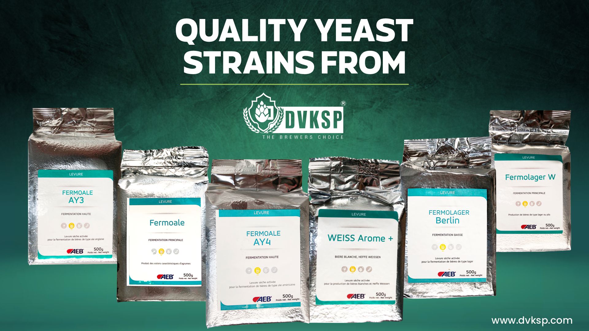 Our extensive range of yeast offerings includes strains specifically designed for ale and lager production, as well as cutting-edge hybrid strains for experimental brews.

Sourced from reputable manufacturers like AEB, DVKSP’s yeast products are meticulously selected to meet the highest standards of quality and performance.

Our team of experts works closely with brewers to understand their unique requirements and provide tailored solutions that enable them to achieve their desired flavor profiles and brewing objectives.