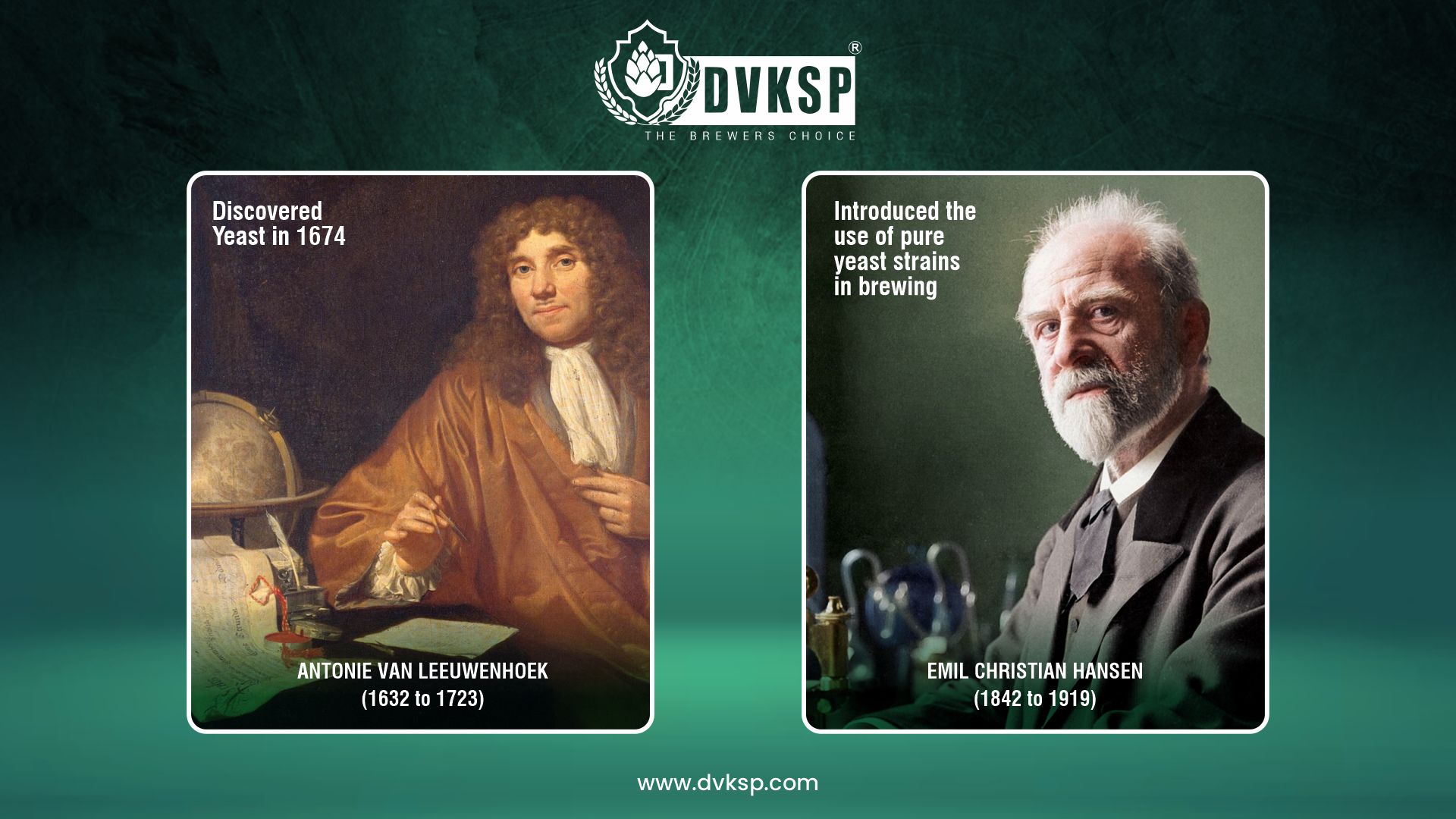 The discovery of yeast by Antonie Van Leeuwenhoek in 1674 revealed the microorganisms responsible for fermentation. This understanding led to the development of controlled fermentation techniques, which improved the consistency and quality of beer. Emil Christian Hansen‘s work on pure yeast cultures in the late 19th century introduced the use of pure yeast strains in brewing. This innovation allowed for more consistent and predictable fermentation results, leading to the widespread adoption of pure yeast cultures in breweries.