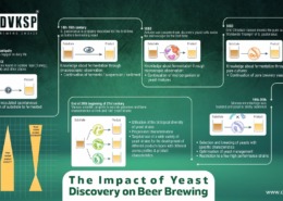 THE IMPACT OF YEAST DISCOVERY ON BEER BREWING. Understand the Yeast Role in Beer Brewing with DVKSP