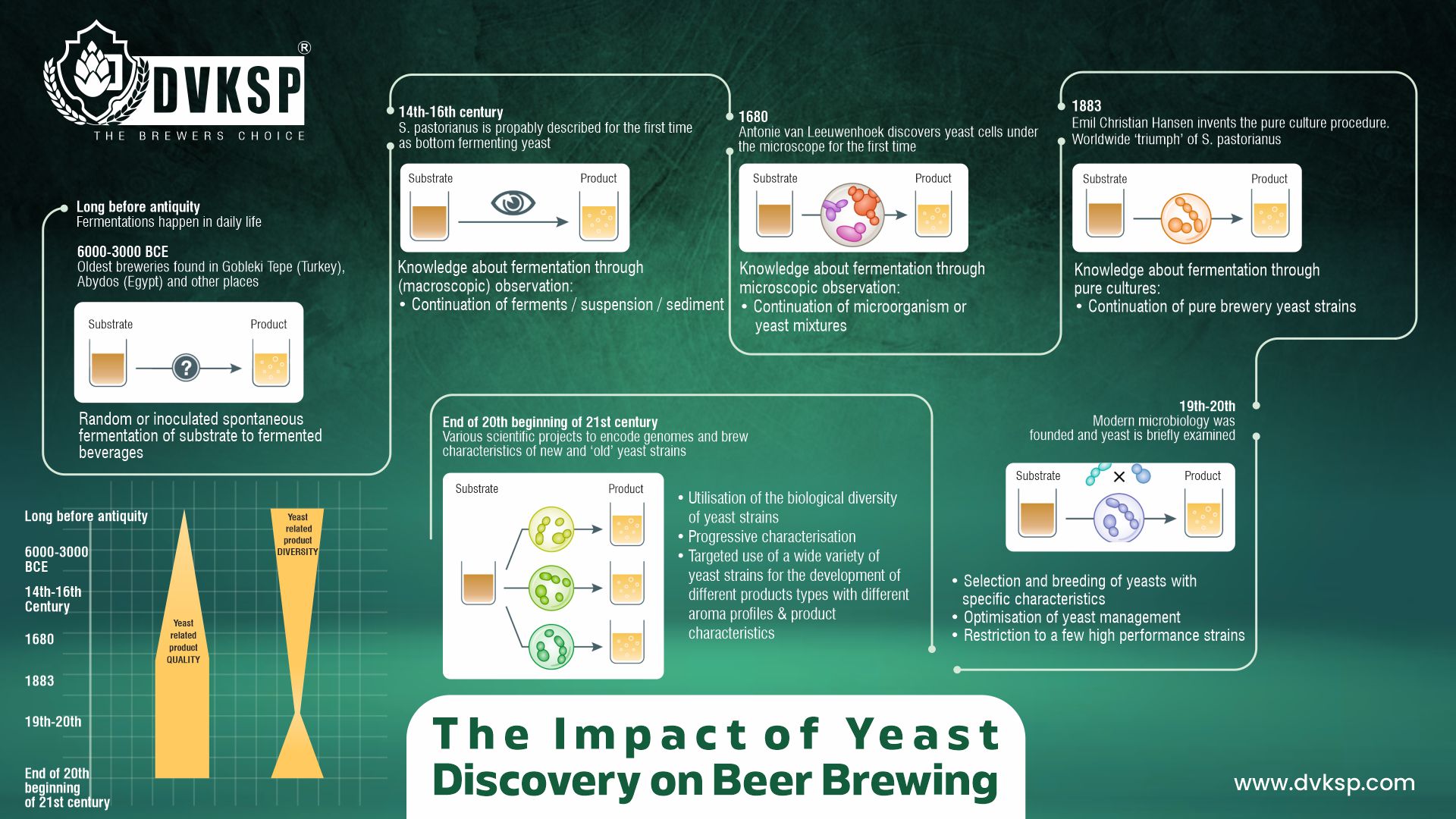 THE IMPACT OF YEAST DISCOVERY ON BEER BREWING. Understand the Yeast Role in Beer Brewing with DVKSP