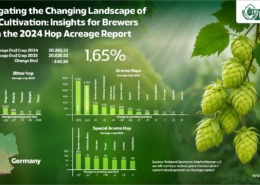 The hop market has always been dynamic, with various factors influencing the cultivation and availability of different hop varieties. The 2024 hop acreage report provides valuable insights into current trends, helping brewers make informed decisions for the future. This article explores the key findings from the report, focusing on changes in hop acreage in Germany and the United States, and offers strategic advice for brewers planning their next steps.