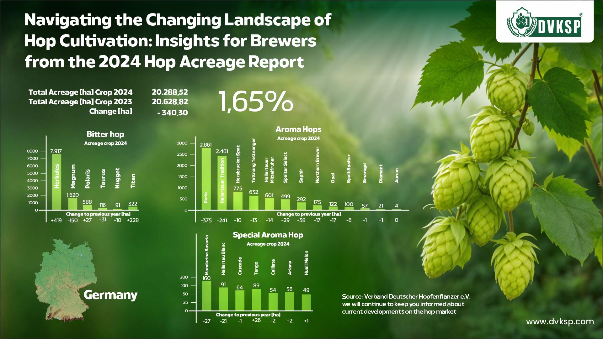 The hop market has always been dynamic, with various factors influencing the cultivation and availability of different hop varieties. The 2024 hop acreage report provides valuable insights into current trends, helping brewers make informed decisions for the future. This article explores the key findings from the report, focusing on changes in hop acreage in Germany and the United States, and offers strategic advice for brewers planning their next steps.