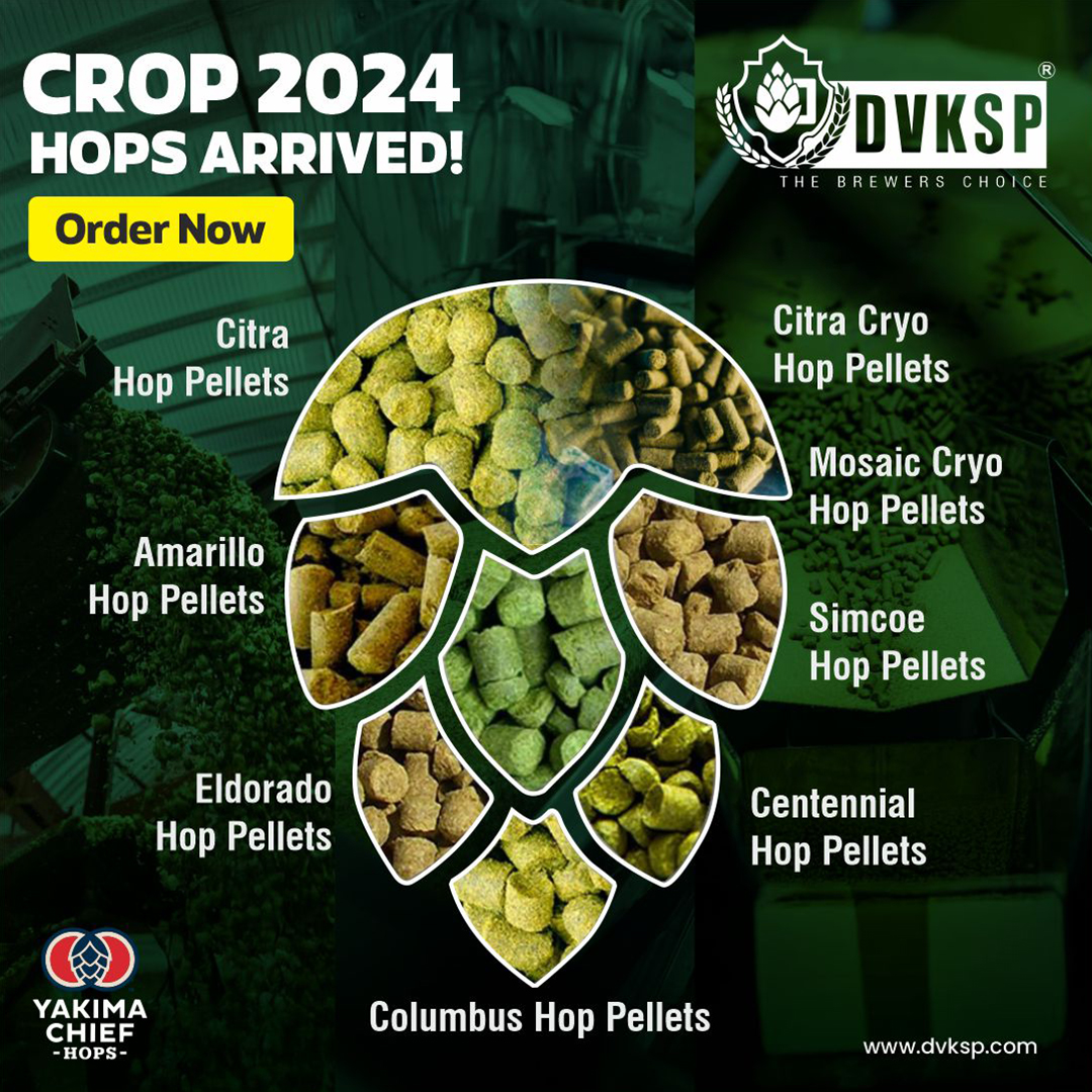 Yakima Chief 2024 Fresh Hops Crop available at DVKSP Impex